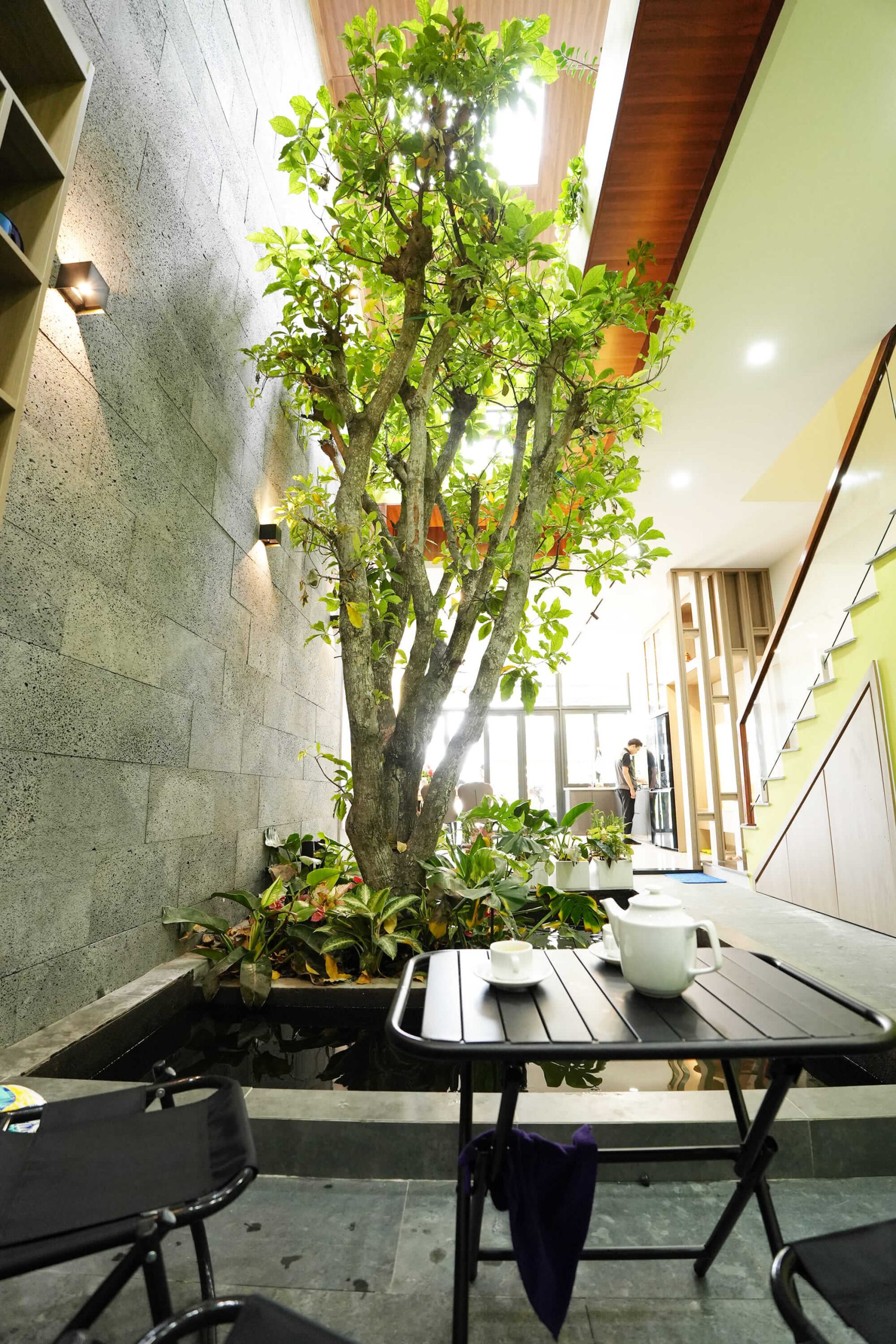 Giếng trời tiểu cảnh