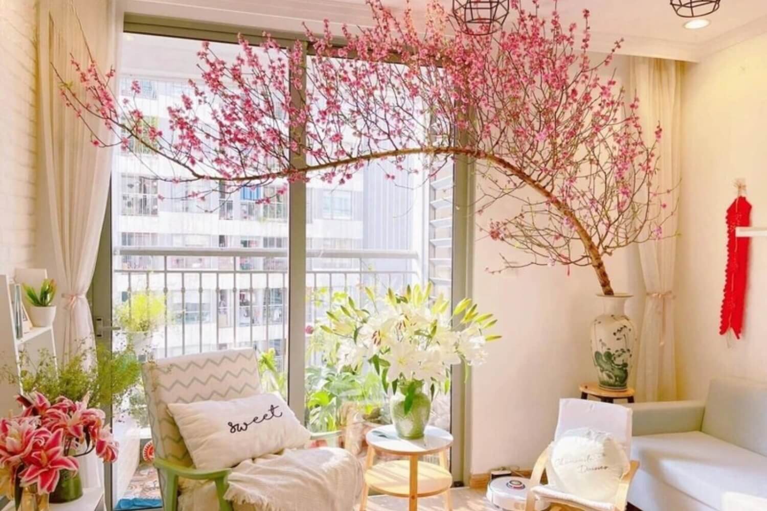 Concept chụp ảnh tết tại nhà